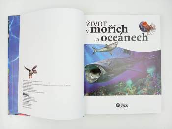 Carmen Rodríguez: Život v mořích a oceánech