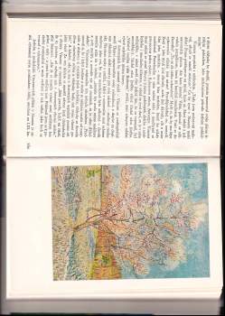 Henri Perruchot: Život Vincenta van Gogha