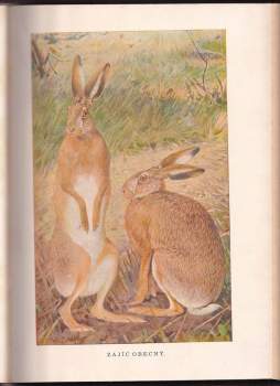 Alfred Brehm: Život zvířat