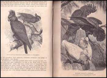 Alfred Brehm: Život zvířat Díl 2 - Ptáci