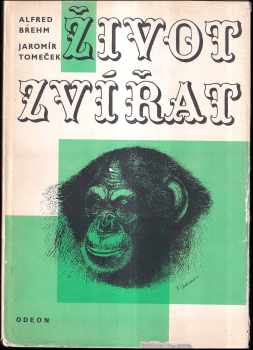 Život zvířat : savci : Savci