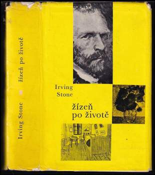 Irving Stone: Žízeň po životě
