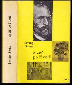 Žízeň po životě : Román o Vincentu Van Goghovi