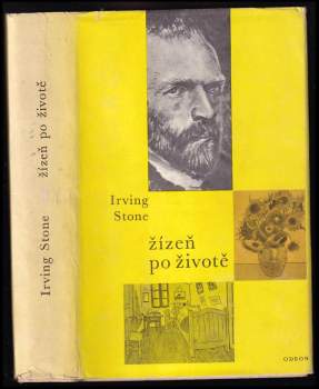 Žízeň po životě : Román o Vincentu Van Goghovi