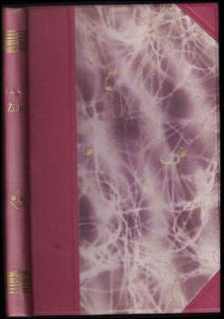 Žižka a husitská revoluce