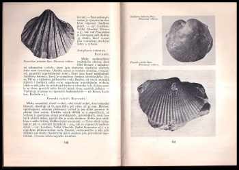 Ferdinand Prantl: Zkameněliny českých pramoří