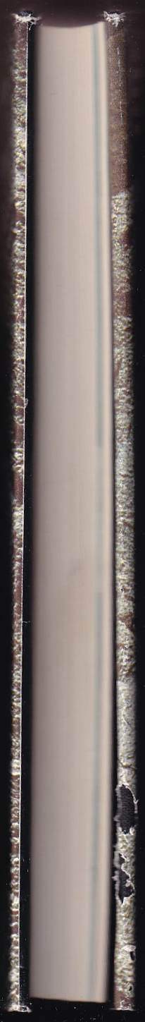 Rudolf J Prokop: Zkamenělý svět