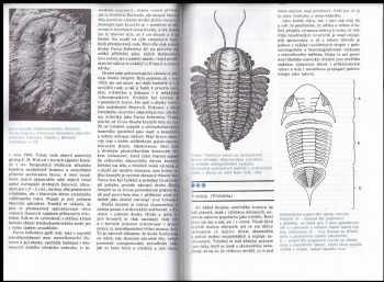 Rudolf J Prokop: Zkamenělý svět