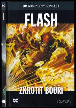 Flash - Zkrotit bouři