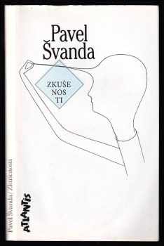 Pavel Švanda: Zkušenosti