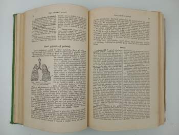 Adolf Ambrož: Zlatá kniha praktického lékařství domácího
