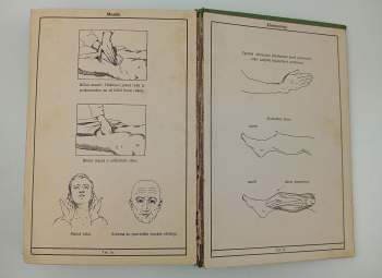 Adolf Ambrož: Zlatá kniha praktického lékařství domácího