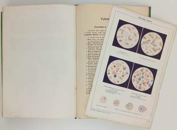 Adolf Ambrož: Zlatá kniha praktického lékařství domácího