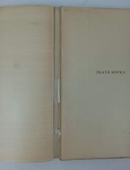 Jules Verne: Zlatá sopka