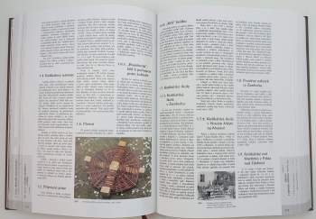 Václav Šplíchal: Zlaté ruce