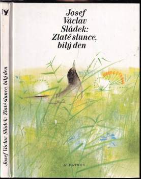 Zlaté slunce, bílý den