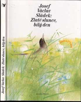 Zlaté slunce, bílý den