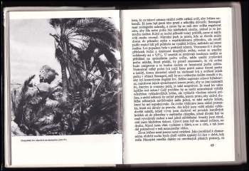 Ritchie R Ward: Živé hodiny