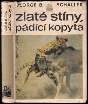 Zlaté stíny, pádící kopyta