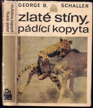 Zlaté stíny, pádící kopyta