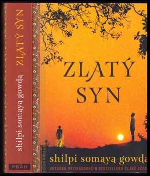 Shilpi Somaya Gowda: Zlatý syn