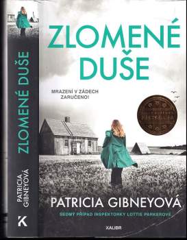 Patricia Gibney: Zlomené duše