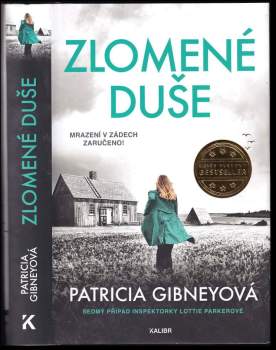 Patricia Gibney: Zlomené duše