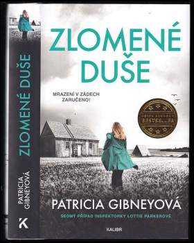 Patricia Gibney: Zlomené duše