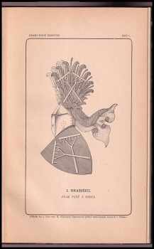 Vojtěch Král z Dobré Vody: Znaková příloha Časopisu Společnosti přátel starožitností českých v Praze, ročníku II (1894).