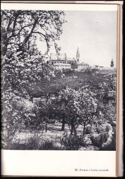 Lubomír Emil Havlík: Znojmo
