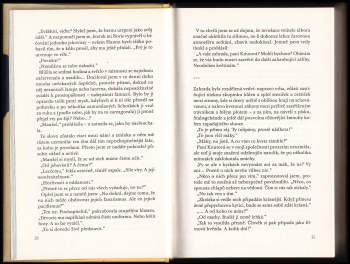 Martin Amis: Zóna zájmu