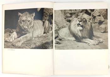 Otakar Štěpánek: Zoo