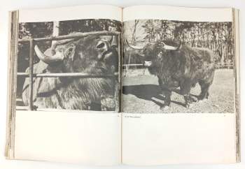 Otakar Štěpánek: Zoo