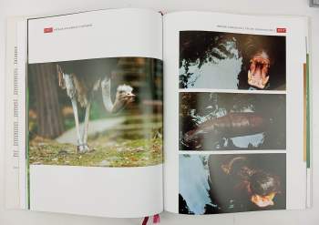 Herbert Slavík: Zoo Praha