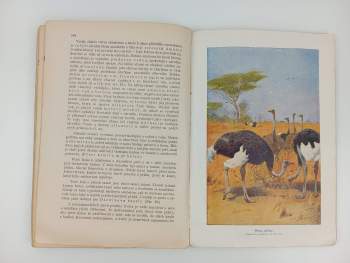 Zoologie a somatologie pro vyšší třídy středních škol