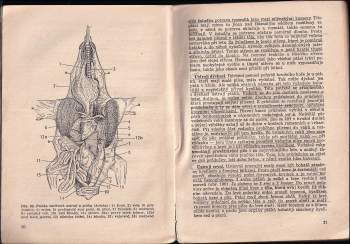 Vojtěch Kocián: Zoologie pro ... postupný ročník všeobecně vzdělávacích škol