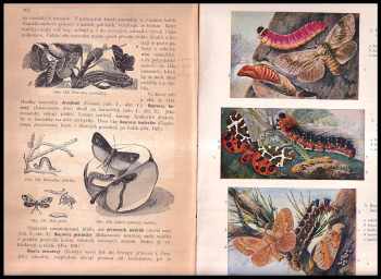 Gustav Daněk: Zoologie pro ústavy učitelské