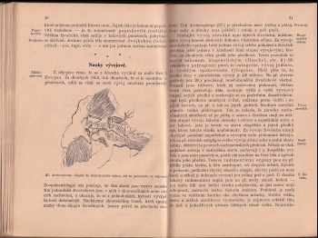 Karel Pechoč: Zoologie pro vyšší třídy středních škol
