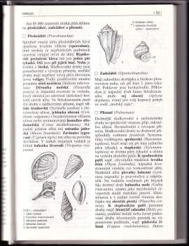 Vladimír Zicháček: Zoologie