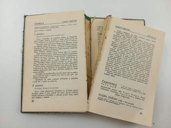 Zpěvoherní repertoire