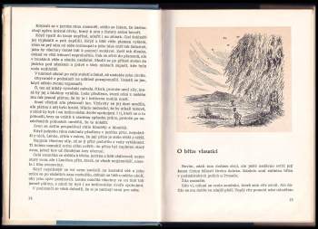 Miloslav Bureš: Zpívající lípa
