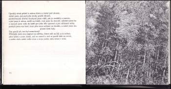 Walt Whitman: Zpívám o sobě