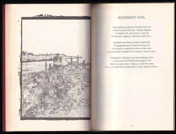 Petr Štěpán: Zpovědnice
