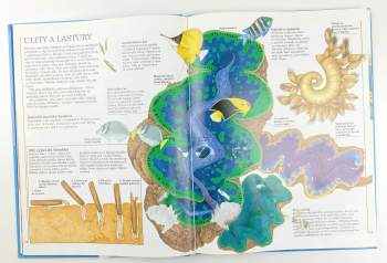 Philip Steele: Žraloci a jiní obyvatelé mořských hlubin