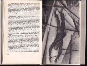 Wolfgang Ott: Žraloci a malé ryby