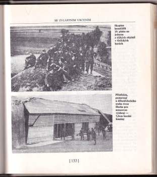 Ota Holub: Zrazené pevnosti