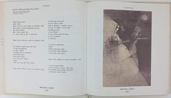 Vladimír Tesař: Zrcadla lásky