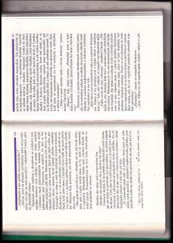 Jorge Luis Borges: Zrcadlo a maska