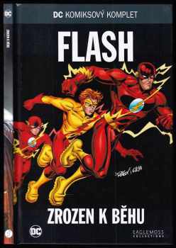 Zrozen k běhu - Flash