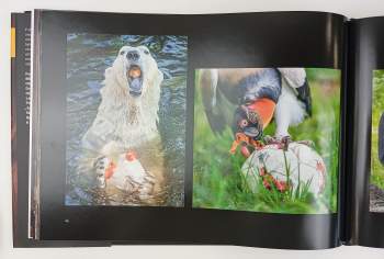 Miroslav Bobek: Ztichlá zoo